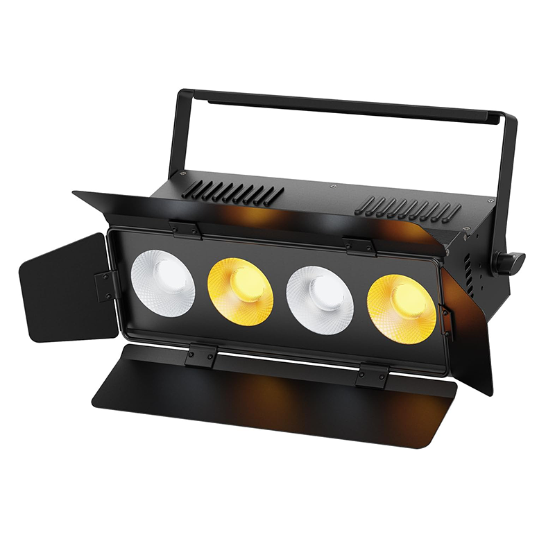 200W COB LED Par Light-P50