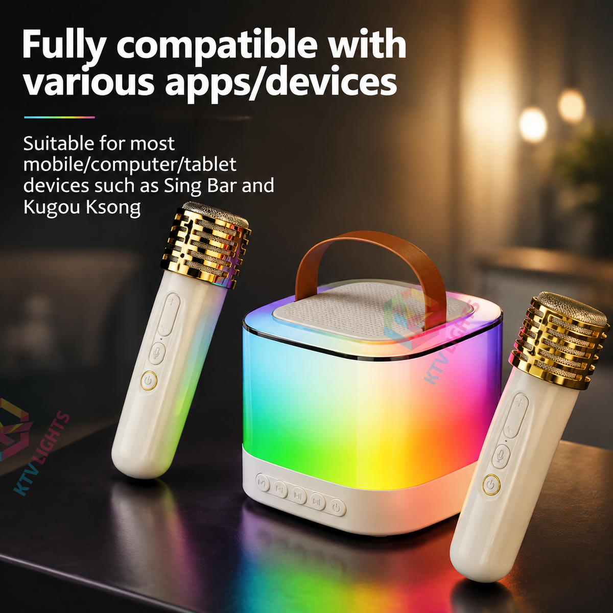 KTVLIGHTS Mini Bluetooth Portable Karaoke Machine-C6