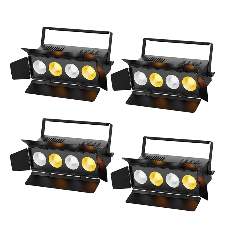 200W COB LED Par Light-P50