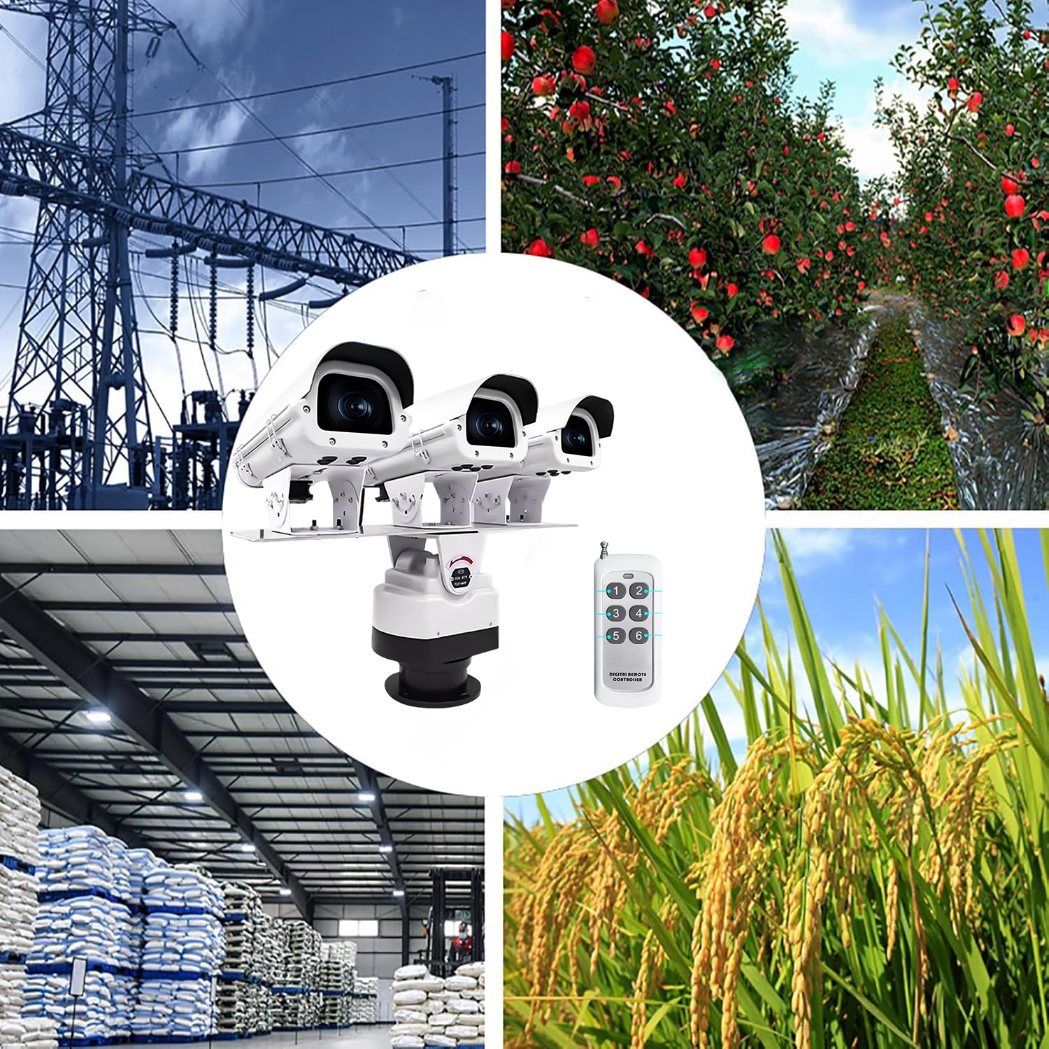 Programmable Three-Head Bird and Animal Repellent Laser Light - B46