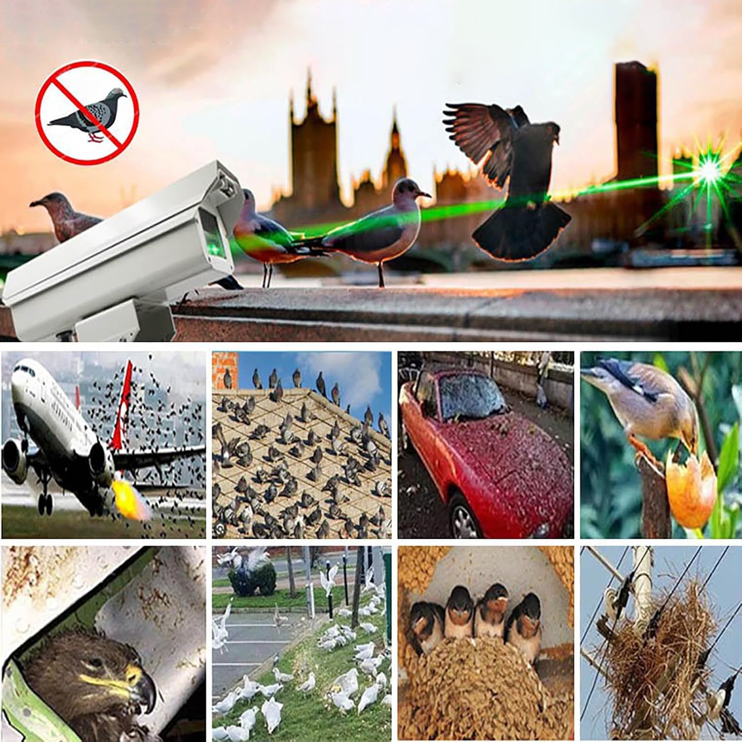 Programmable Professional Outdoor Bird Repellent Light & Animal Repellent Laser Light - B19