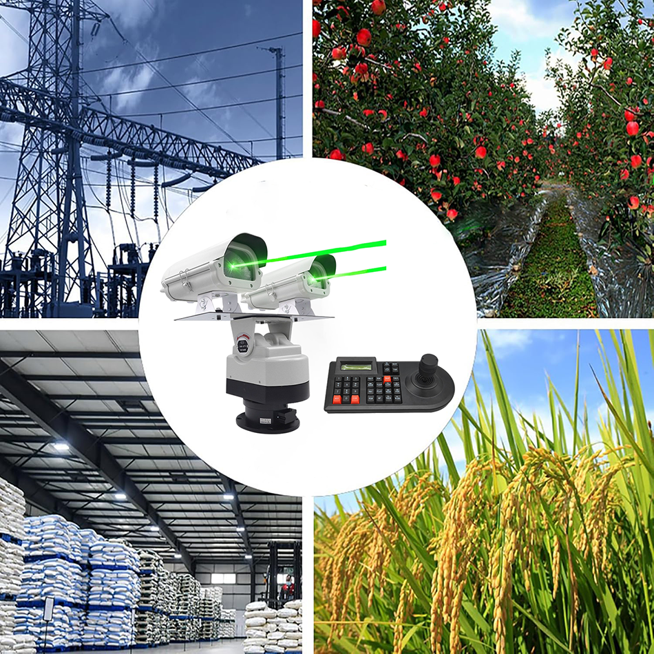 How to Get Rid of Crows Humanely: 10 Proven, Science-Backed Strategies