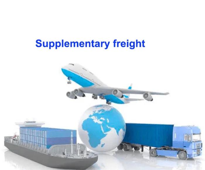 Fast Express Sea Freight Dedicated Link（AU-1）