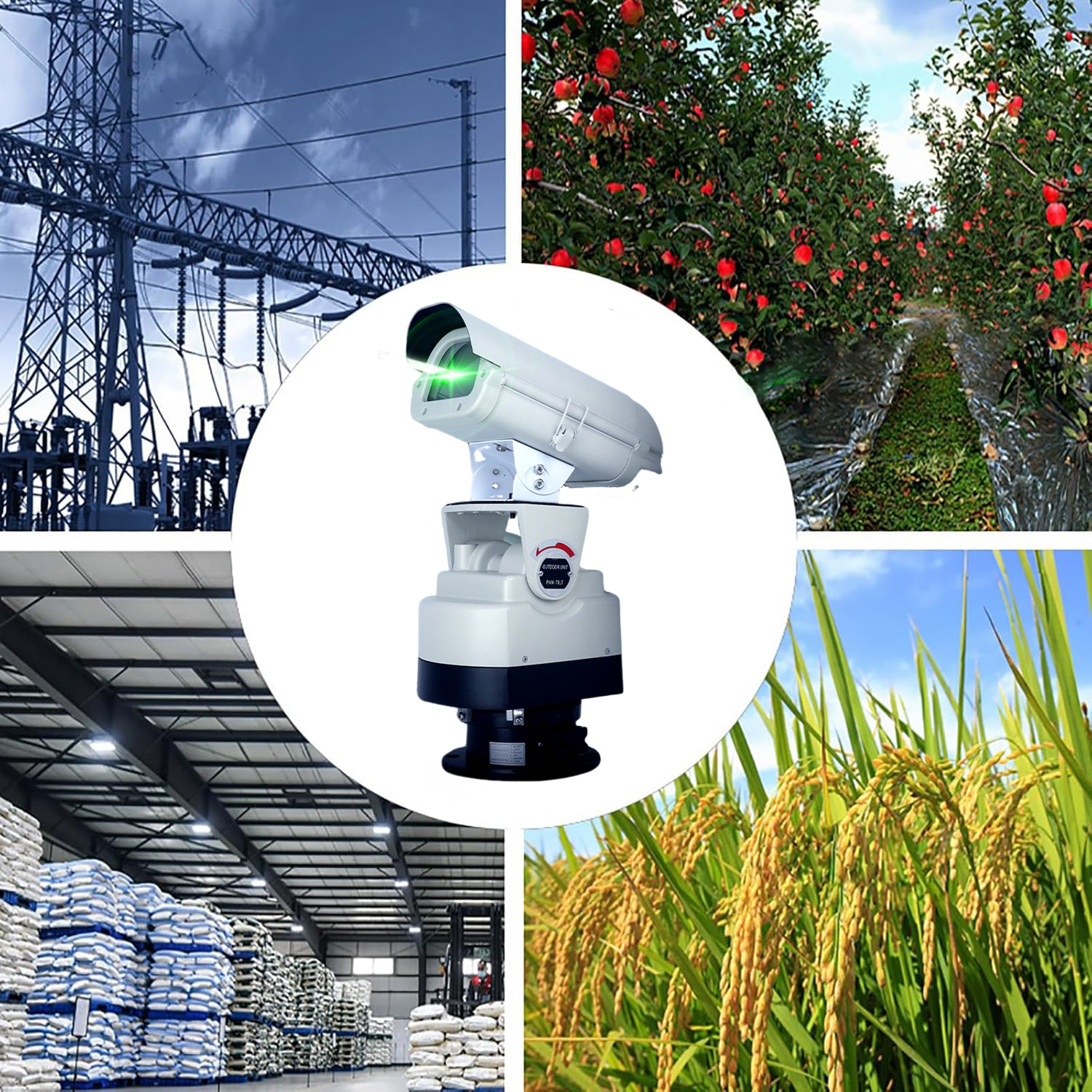 IP65 Luz Laser para Pássaros ao Ar Livre Landmark B12