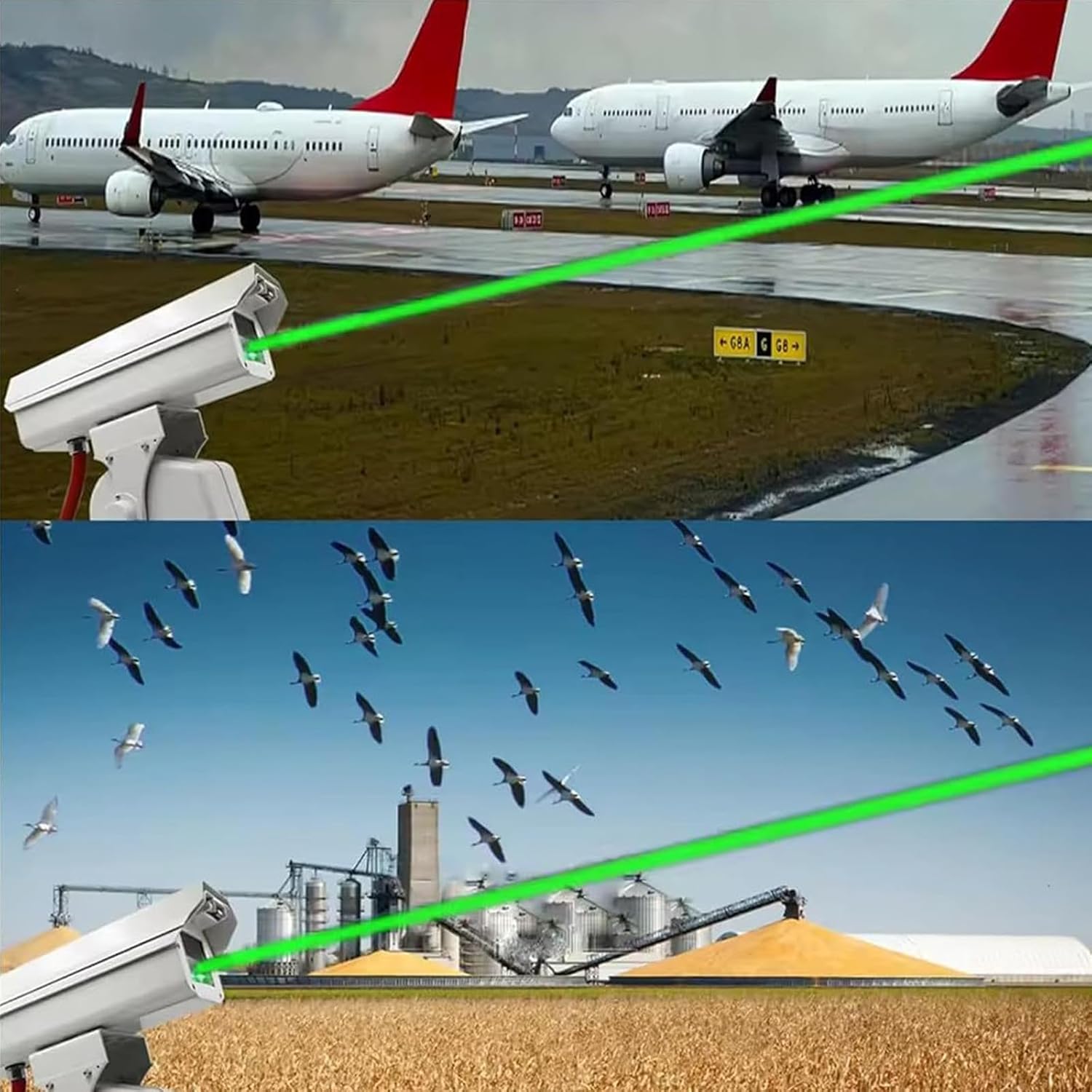 Dual-head programmable professional outdoor bird and animal deterrent laser lights - B29